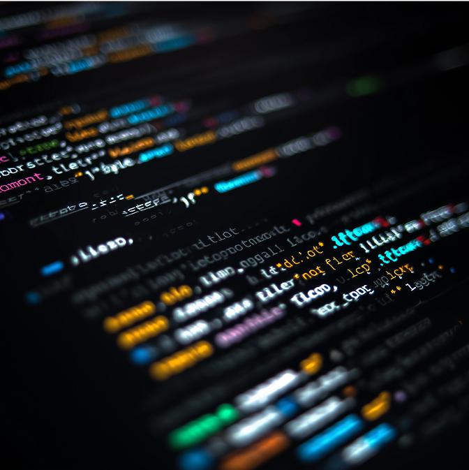 Software Developers